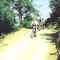 Bicycle Tours